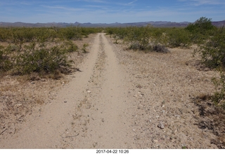 461 9nn. Alamo Lake - Wayside dirt road