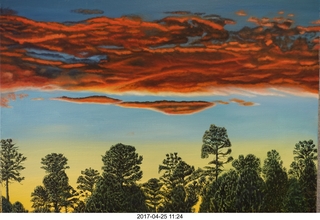 new- camera  Jacqui's sunset painting