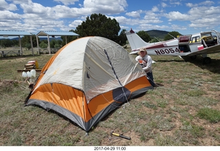 Young International tent