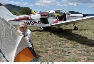 Young International airplane