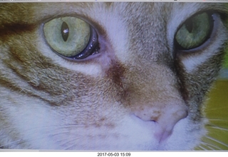 16 9p3. new camera -  Max's eyes from picture