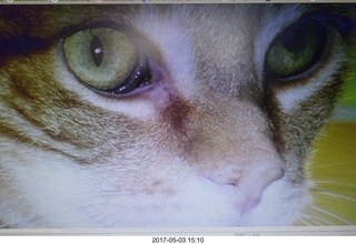 17 9p3. new camera -  Max's eyes from picture