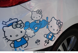 cute bears on the back of a car