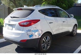 cute bears on the back of a car