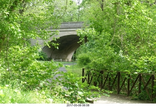 Pennypack Park run