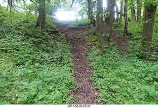 Pennypack Park run