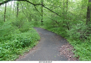 Pennypack Park run