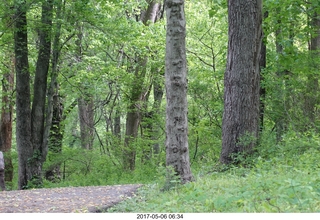 Pennypack Park run