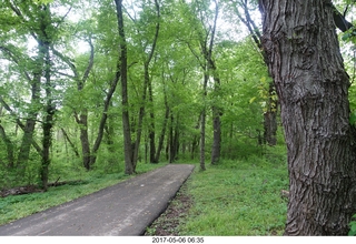 Pennypack Park run - Adam running