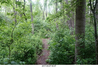 Pennypack Park run