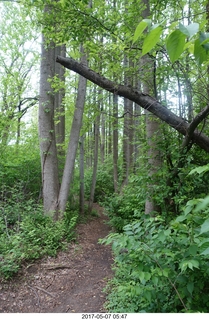 Pennypack Park run