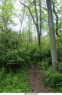 Pennypack Park run