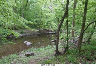 Pennypack Park run