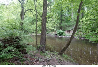 Pennypack Park run