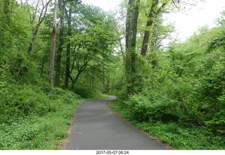 Pennypack Park run