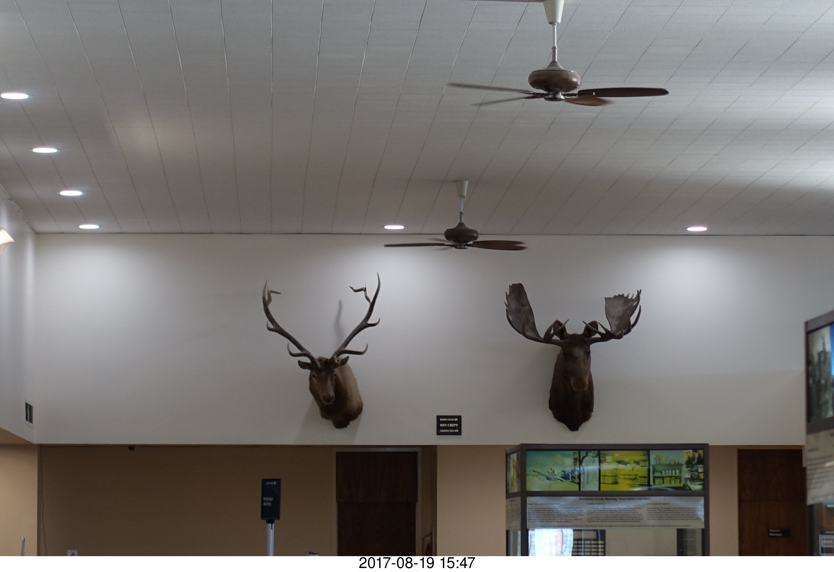 Rock Springs airport terminal - elk and moose heads