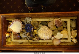 271 9sk. Rock Springs - Chinese Restaurant seashells