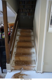 my bare-wood stairs