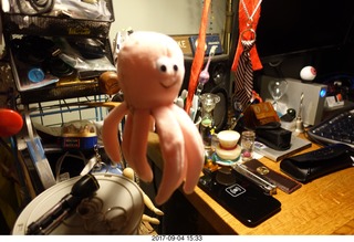 bird stuff - pink octopus