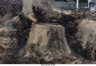 11 9t9. Roosevelt Boulevard - torn down Nabisco factory