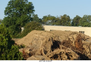 Northeast Philadelphia - Roosevelt Boulevard - old Nabisco / Kraft factory being torn down - tree stumps