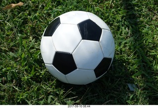 soccer ball