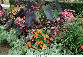 Longwood Gardens - fountains