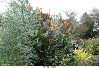 141 9ue. Longwood Gardens - flowers