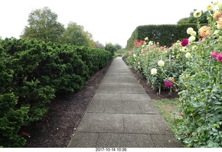 Longwood Gardens - flowers