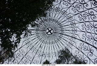 229 9ue. Longwood Gardens - looking up