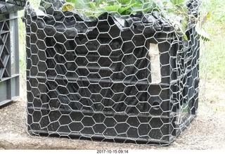 612 9uf. Betsy's yard - wire mesh