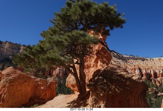 Bryce Canyon National Park hike - Peek-A-Boo trail