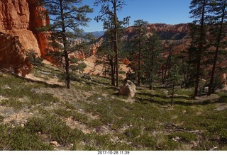 Bryce Canyon National Park hike - Peek-A-Boo trail