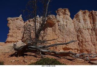 Bryce Canyon National Park hike - Peek-A-Boo trail