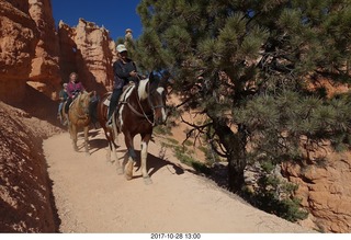 Bryce Canyon National Park hike - Peek-A-Boo trail - horses
