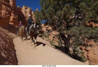 Bryce Canyon National Park hike - Peek-A-Boo trail - horses