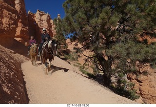 Bryce Canyon National Park hike - Peek-A-Boo trail - horses