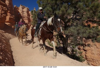 Bryce Canyon National Park hike - Peek-A-Boo trail - horses