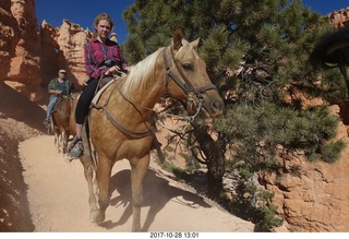 Bryce Canyon National Park hike - Peek-A-Boo trail - horses