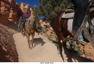 Bryce Canyon National Park hike - Peek-A-Boo trail - horses