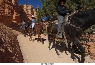 Bryce Canyon National Park hike - Peek-A-Boo trail - horses