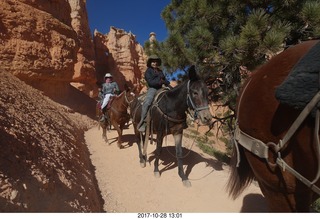 Bryce Canyon National Park hike - Peek-A-Boo trail - horses
