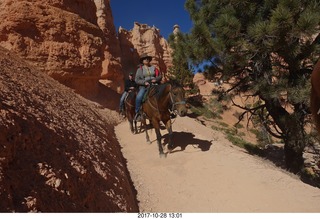 Bryce Canyon National Park hike - Peek-A-Boo trail - horses