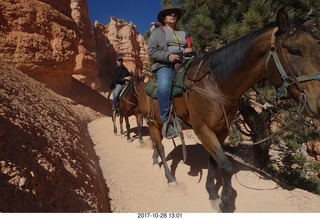 Bryce Canyon National Park hike - Peek-A-Boo trail - horses