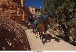 Bryce Canyon National Park hike - Peek-A-Boo trail - horses