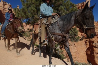 Bryce Canyon National Park hike - Peek-A-Boo trail - horses