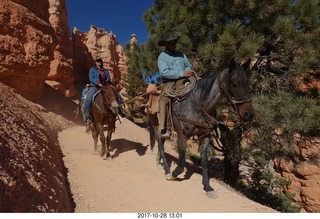Bryce Canyon National Park hike - Peek-A-Boo trail - horses
