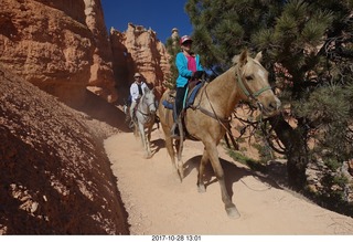 Bryce Canyon National Park hike - Peek-A-Boo trail - horses