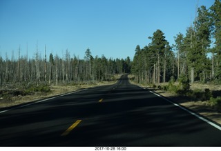 Bryce Canyon National Park - drive