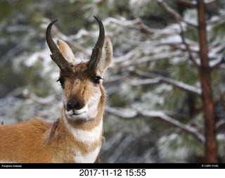 Grand Canyon trip - group taking a picture